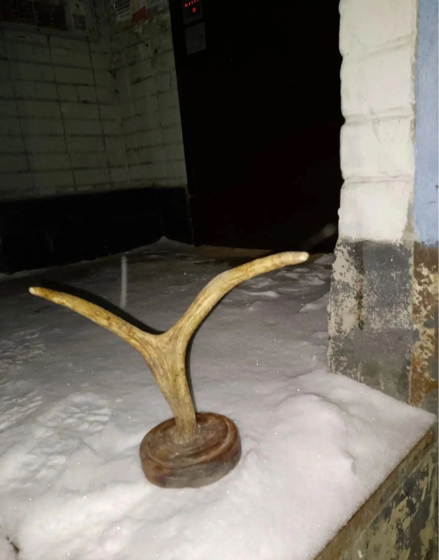 Коммунальщики Челнов показали «улов» из мусоропроводов: рога, тыква и компьютер